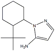 1-(2-tert-butylcyclohexyl)-1H-pyrazol-5-amine Structure