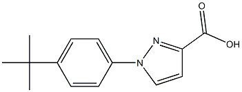 1-(4-tert-butylphenyl)-1H-pyrazole-3-carboxylic acid Structure