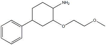2-(2-methoxyethoxy)-4-phenylcyclohexan-1-amine
