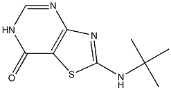 2-(tert-butylamino)[1,3]thiazolo[4,5-d]pyrimidin-7(6H)-one Structure