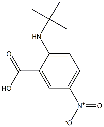 2-(tert-butylamino)-5-nitrobenzoic acid 结构式