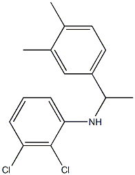 2,3-dichloro-N-[1-(3,4-dimethylphenyl)ethyl]aniline