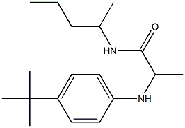 2-[(4-tert-butylphenyl)amino]-N-(pentan-2-yl)propanamide Struktur