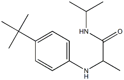 2-[(4-tert-butylphenyl)amino]-N-(propan-2-yl)propanamide Struktur