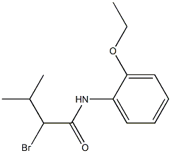 2-bromo-N-(2-ethoxyphenyl)-3-methylbutanamide Structure