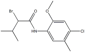 2-bromo-N-(4-chloro-2-methoxy-5-methylphenyl)-3-methylbutanamide Structure