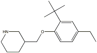 3-(2-tert-butyl-4-ethylphenoxymethyl)piperidine Structure