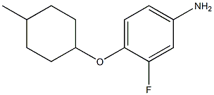 3-fluoro-4-[(4-methylcyclohexyl)oxy]aniline