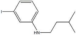 3-iodo-N-(3-methylbutyl)aniline Struktur