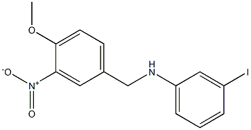 3-iodo-N-[(4-methoxy-3-nitrophenyl)methyl]aniline