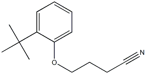 4-(2-tert-butylphenoxy)butanenitrile Structure