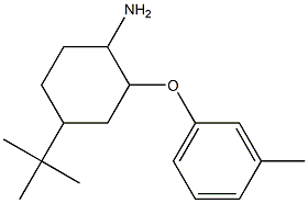 4-tert-butyl-2-(3-methylphenoxy)cyclohexan-1-amine