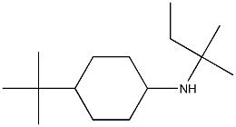 4-tert-butyl-N-(2-methylbutan-2-yl)cyclohexan-1-amine Structure