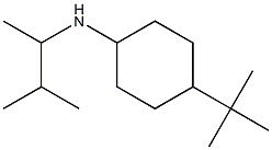 4-tert-butyl-N-(3-methylbutan-2-yl)cyclohexan-1-amine|