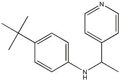 4-tert-butyl-N-[1-(pyridin-4-yl)ethyl]aniline Structure