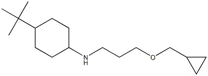4-tert-butyl-N-[3-(cyclopropylmethoxy)propyl]cyclohexan-1-amine Structure