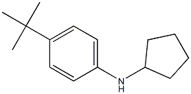 4-tert-butyl-N-cyclopentylaniline|