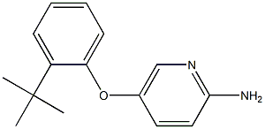 5-(2-tert-butylphenoxy)pyridin-2-amine