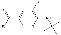 6-(tert-butylamino)-5-chloropyridine-3-carboxylic acid