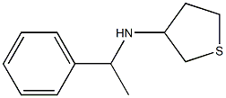  N-(1-phenylethyl)thiolan-3-amine