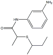 N-(3-aminophenyl)-2-(butan-2-ylsulfanyl)propanamide Structure
