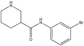 N-(3-bromophenyl)piperidine-3-carboxamide