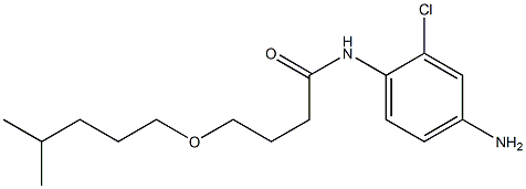 N-(4-amino-2-chlorophenyl)-4-[(4-methylpentyl)oxy]butanamide