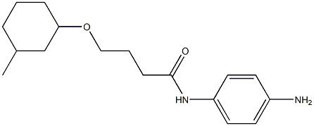 N-(4-aminophenyl)-4-[(3-methylcyclohexyl)oxy]butanamide Struktur