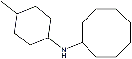 N-(4-methylcyclohexyl)cyclooctanamine,,结构式