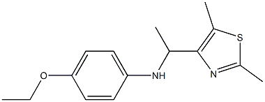 N-[1-(2,5-dimethyl-1,3-thiazol-4-yl)ethyl]-4-ethoxyaniline 结构式