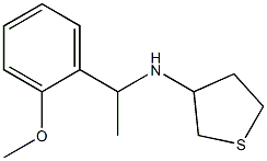  N-[1-(2-methoxyphenyl)ethyl]thiolan-3-amine