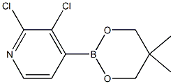 2,3-Dichloro-4-(5,5-dimethyl-1,3,2-dioxaborinan-2-yl)pyridine Structure