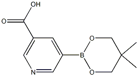5-(5,5-Dimethyl-1,3,2-dioxaborinan-2-yl)-nicotinic acid Structure