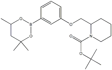 tert-Butyl 2{[3-(4,4,6-trimethyl-1,3,2-dioxaborinan-2-yl)phenoxy]methyl}piperidine-1-carboxylate,,结构式