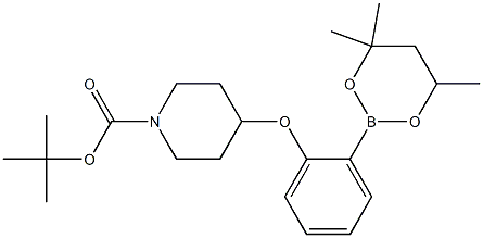 tert-Butyl 4-[2-(4,4,6-trimethyl-1,3,2-dioxaborinan-2-yl)phenoxy]piperidine-1-carboxylate Struktur