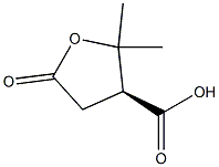 (S)-Tetrahydro-2,2-dimethyl-5-oxo-3-furancarboxylic acid
