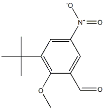 3-tert-Butyl-2-methoxy-5-nitrobenzenecarbaldehyde 结构式