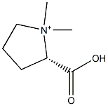 (S)-2-Carboxy-1,1-dimethylpyrrolidinium 结构式