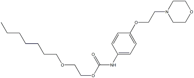 4-(2-Morpholinoethoxy)phenylcarbamic acid 2-(heptyloxy)ethyl ester
