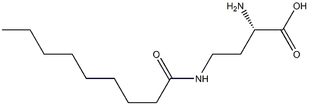 [S,(+)]-2-Amino-4-nonanoylaminobutyric acid Struktur