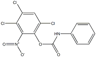 Carbanilic acid 3,4,6-trichloro-2-nitrophenyl ester Struktur
