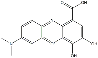 1-カルボキシ-7-(ジメチルアミノ)-3,4-ジヒドロキシフェノキサジン-5-イウム 化学構造式