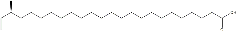 (R)-22-Methyltetracosanoic acid