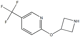 2-(3-Azetidinyloxy)-5-(trifluoromethyl)pyridine,,结构式