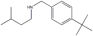 [(4-tert-butylphenyl)methyl](3-methylbutyl)amine Struktur