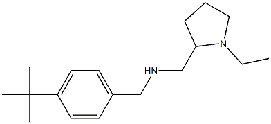 [(4-tert-butylphenyl)methyl][(1-ethylpyrrolidin-2-yl)methyl]amine