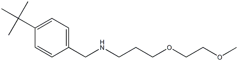 [(4-tert-butylphenyl)methyl][3-(2-methoxyethoxy)propyl]amine