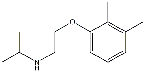 [2-(2,3-dimethylphenoxy)ethyl](propan-2-yl)amine|