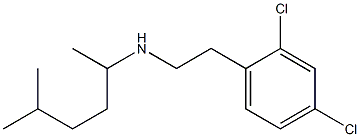 [2-(2,4-dichlorophenyl)ethyl](5-methylhexan-2-yl)amine Struktur