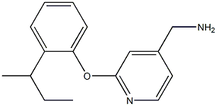 [2-(2-sec-butylphenoxy)pyridin-4-yl]methylamine